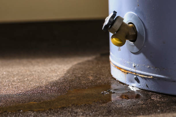 Best Water damage restoration company  in Clovis, NM