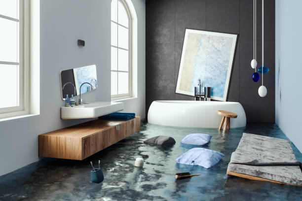 Best Water damage contractors near me  in Clovis, NM