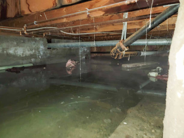 Best Ceiling water damage repair  in Clovis, NM