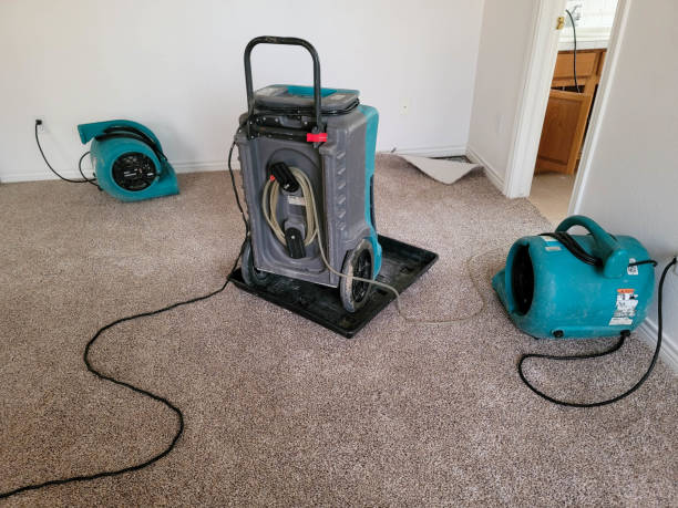 Best Carpet water damage restoration  in Clovis, NM