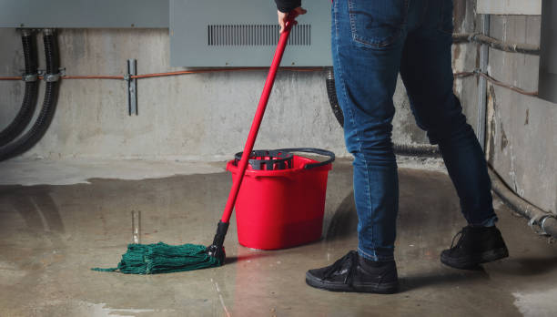  Clovis, NM Water damage restoration Pros