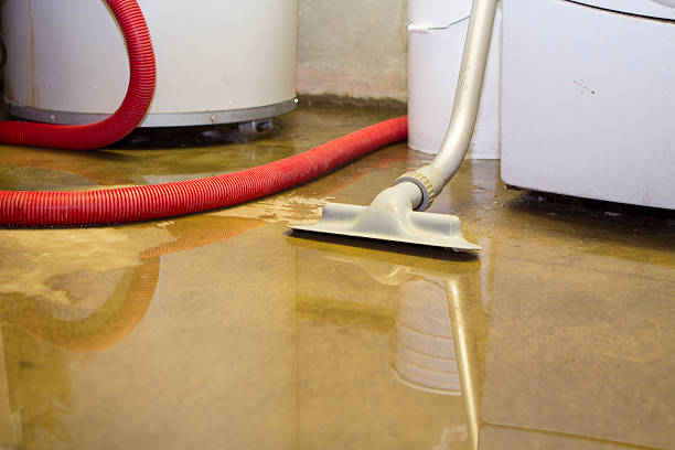 Best Water damage restoration services  in Clovis, NM