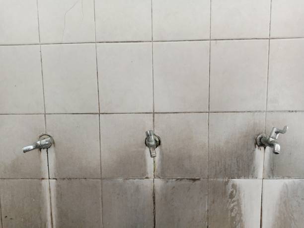 Best Commercial water damage restoration  in Clovis, NM