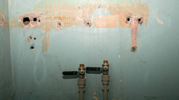 Reliable NM Water damage restoration Solutions