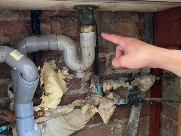 Best Water damage cleanup near me  in Clovis, NM