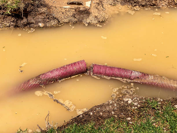 Best Water damage restoration near me  in Clovis, NM