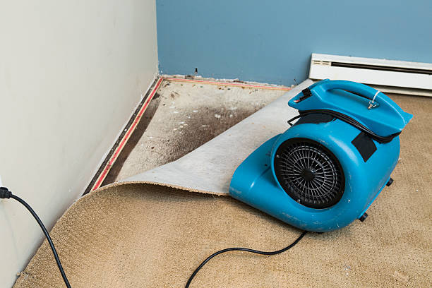 Best Flood damage cleanup  in Clovis, NM